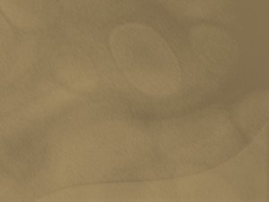 系统和传统方法对比评测