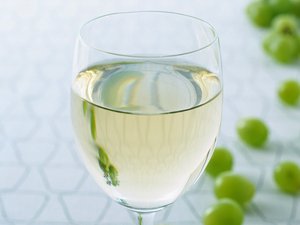 平台全方位解析